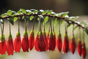 广州番禺区私人快速借钱网，轻松解决资金难题
