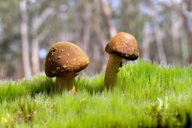 广州番禺区私人老板放款：轻松融资的秘密通道